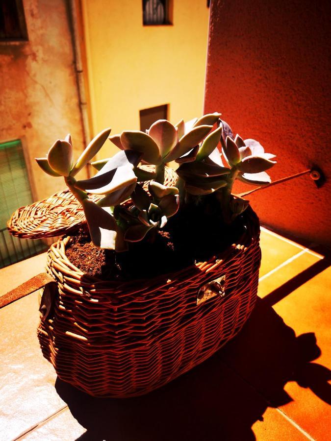 Cornu Karma Apartment Siuranella Cornudella de Montsant Екстериор снимка